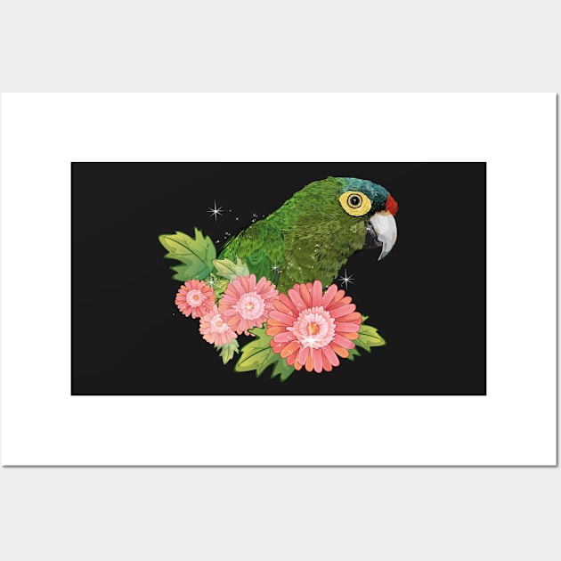 orange faced parakeet Wall Art by obscurite